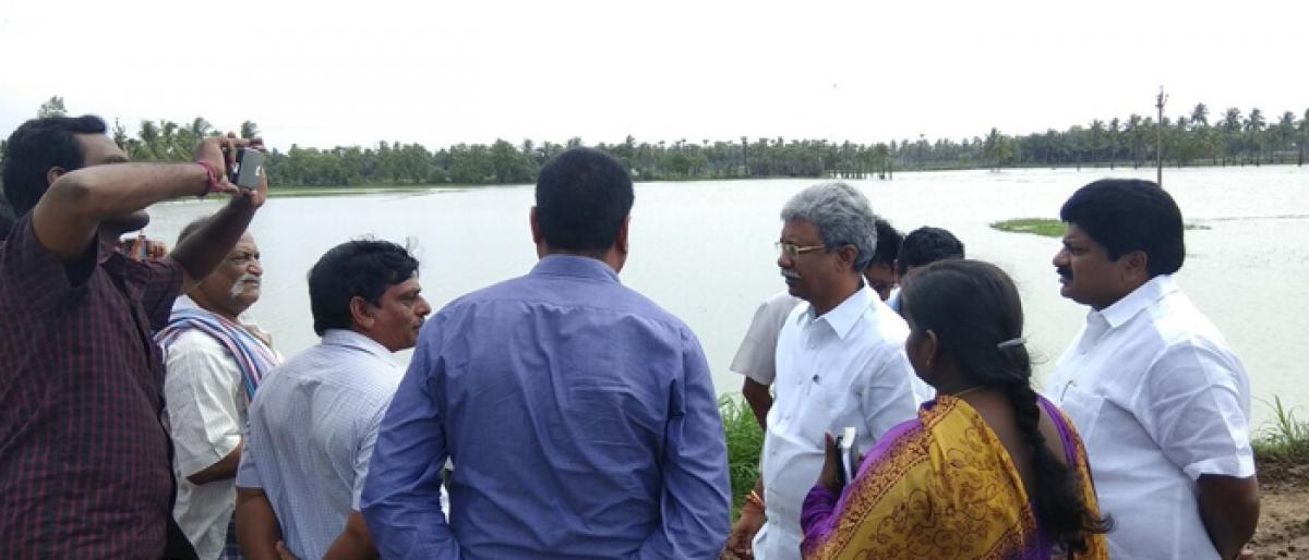 MLA P Manikyala Rao visits rain-hit farm lands in Tadepalligudem