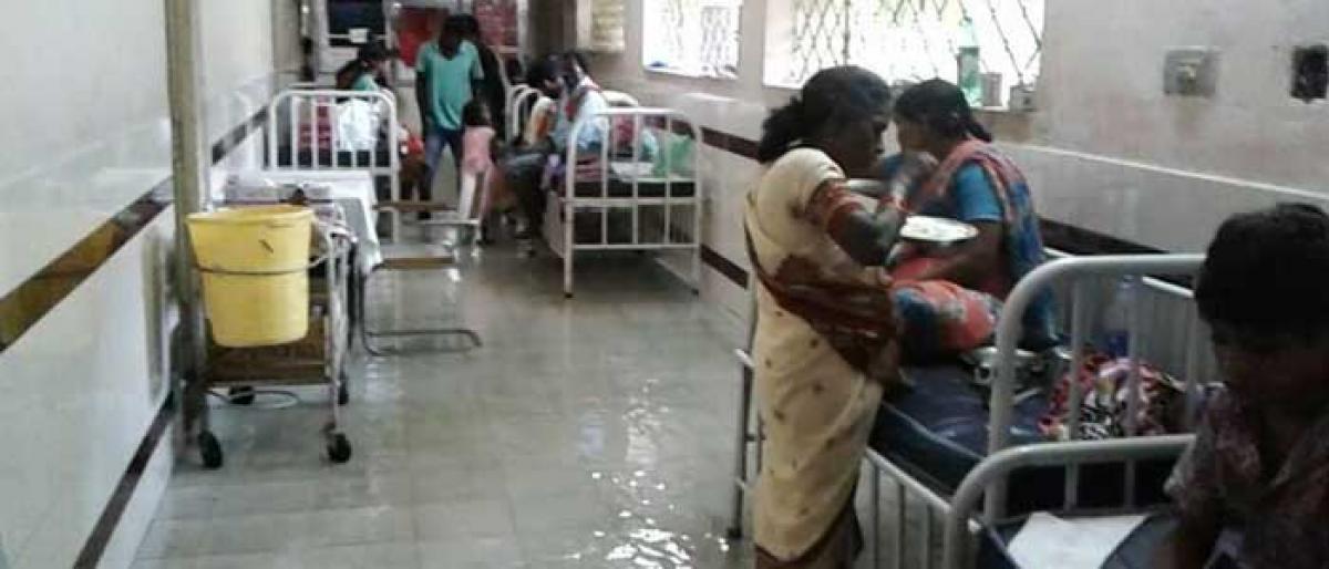 Rainwater enters Mancherial govt hospital wards