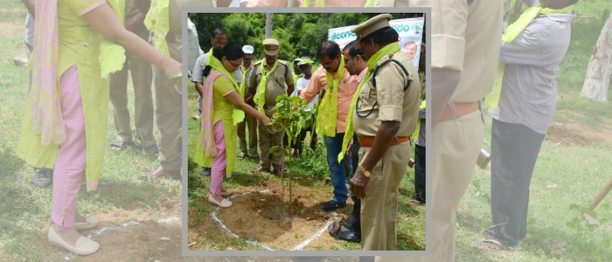 Every village must flourish with greenery: Mahabubabad Collector