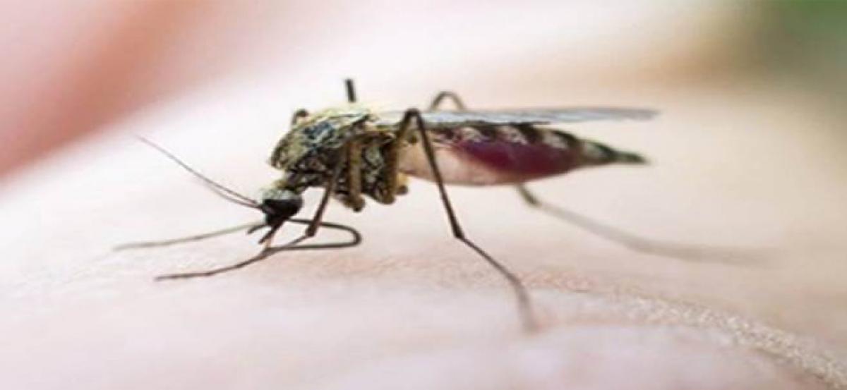 46 malaria cases in Delhi, 50% more than dengue infection count