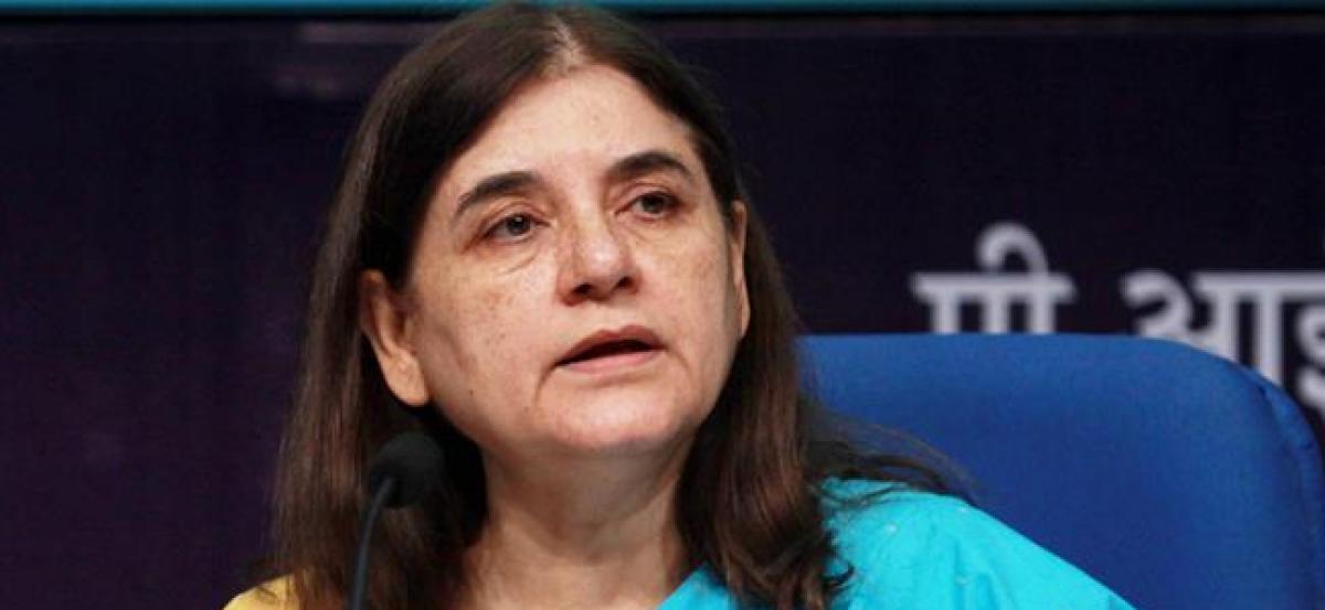 All NRI marriages to be registered within 48 hours: Maneka Gandhi