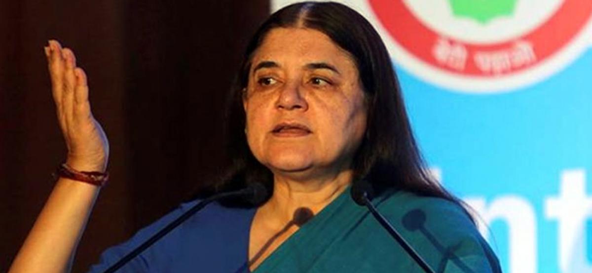 Air India sexual harassment case: Complete probe by June, orders WCD Minister Maneka Gandhi