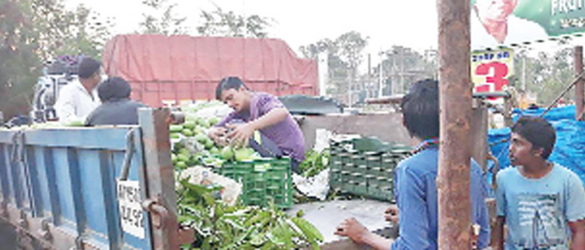 Volatile market hurts mango farmers