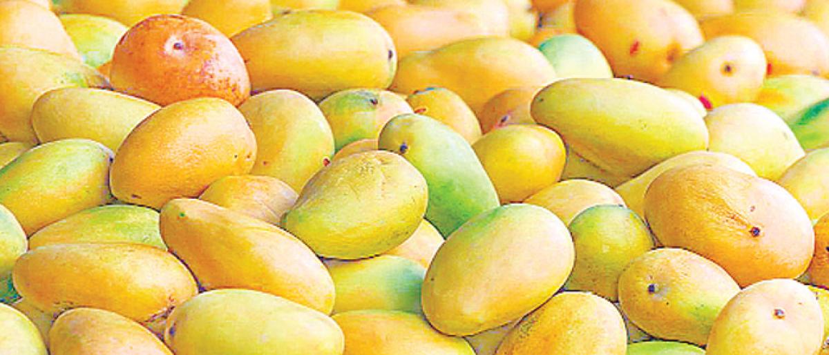 King of fruits still remains elusive in Hyderabad