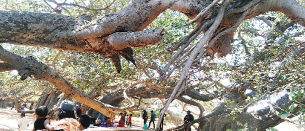 Palamuru loses tourists destinations