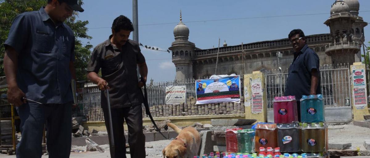 All Accused In Mecca Masjid Blast Acquitted