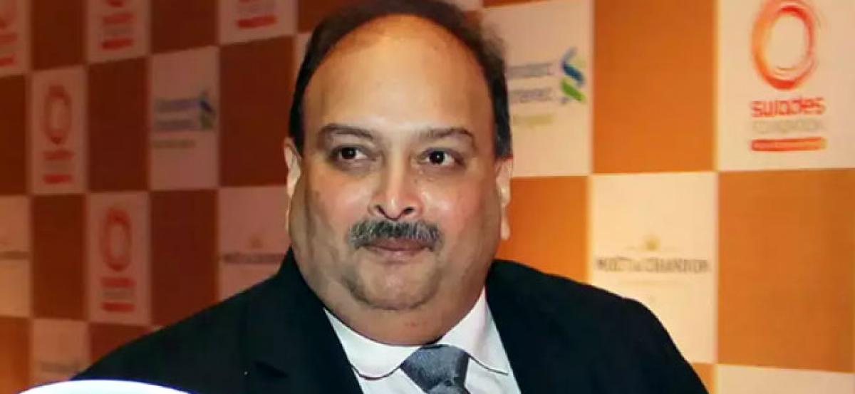 India mulling to extradite Choksi under Antiguan law for Commonwealth nations