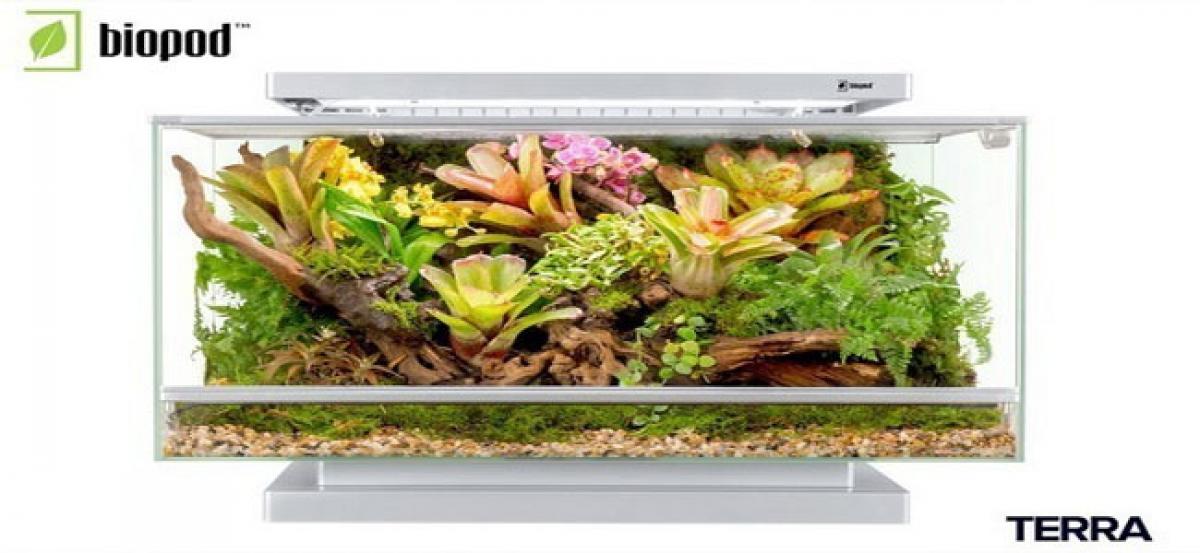 Biopod, the Smart Microhabitat, comes to India