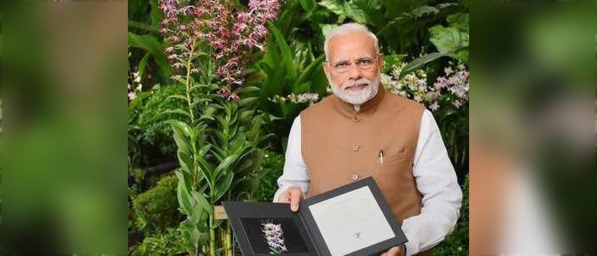 Orchid named after PM Modi