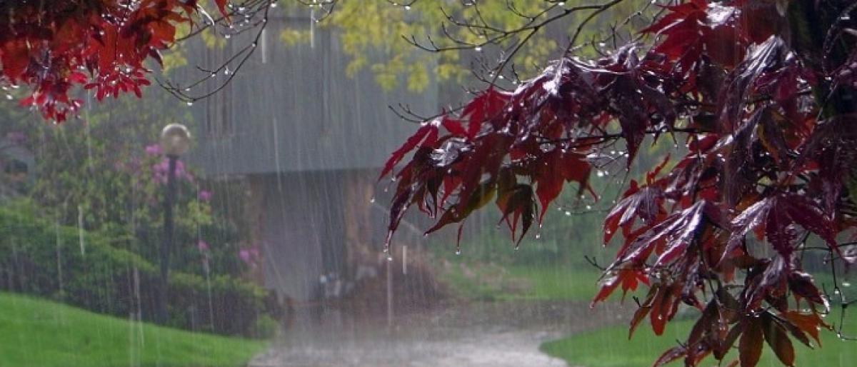 Southwest Monsoon Sets In Karnataka With Widespread Rainfall