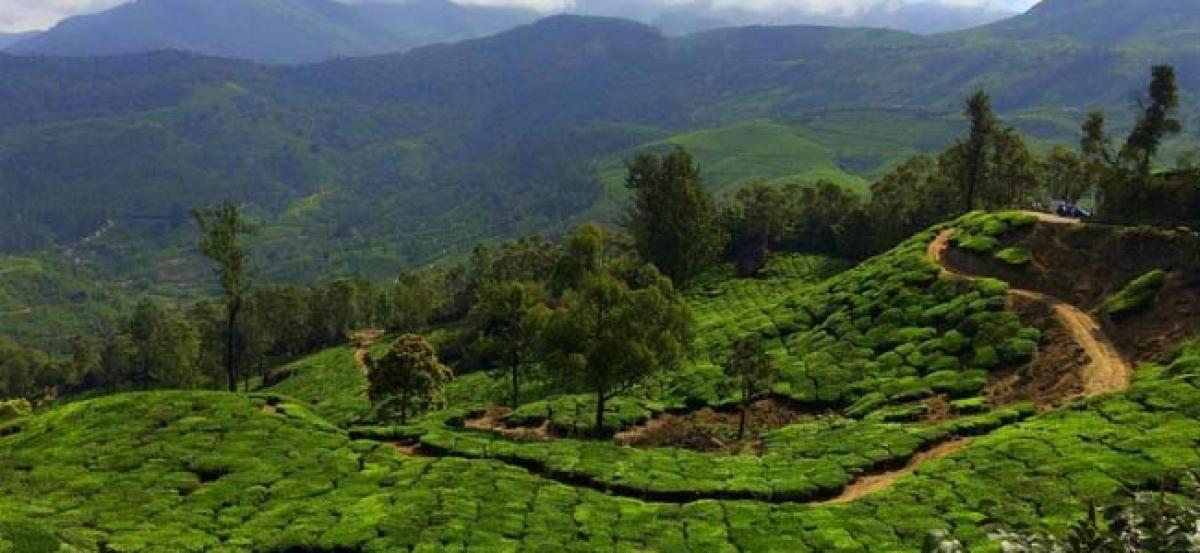 Landslides block roads and leave tourists stranded in Munnar