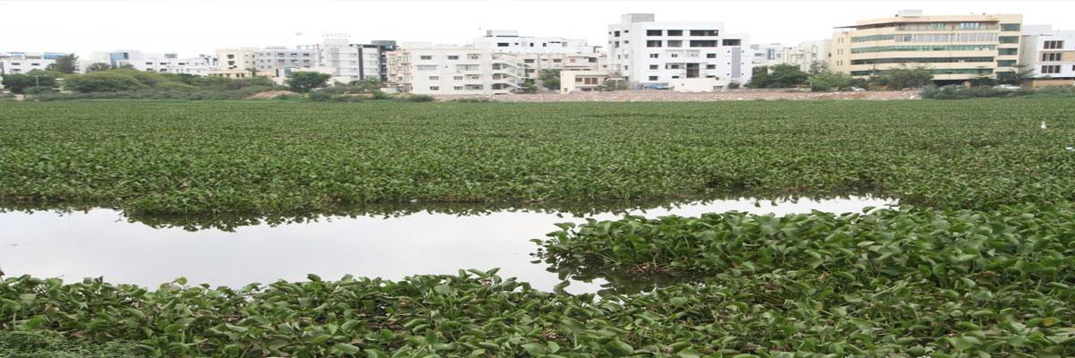 Scenic Nagole lake loses its sheen