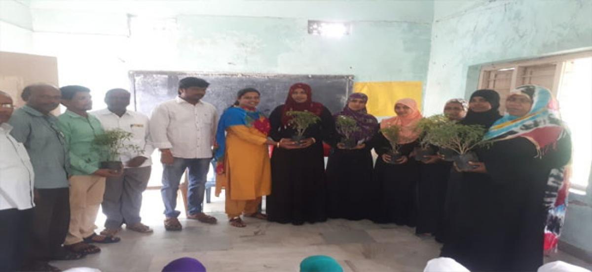 Corporator Navatha Reddy presents saplings to teachers