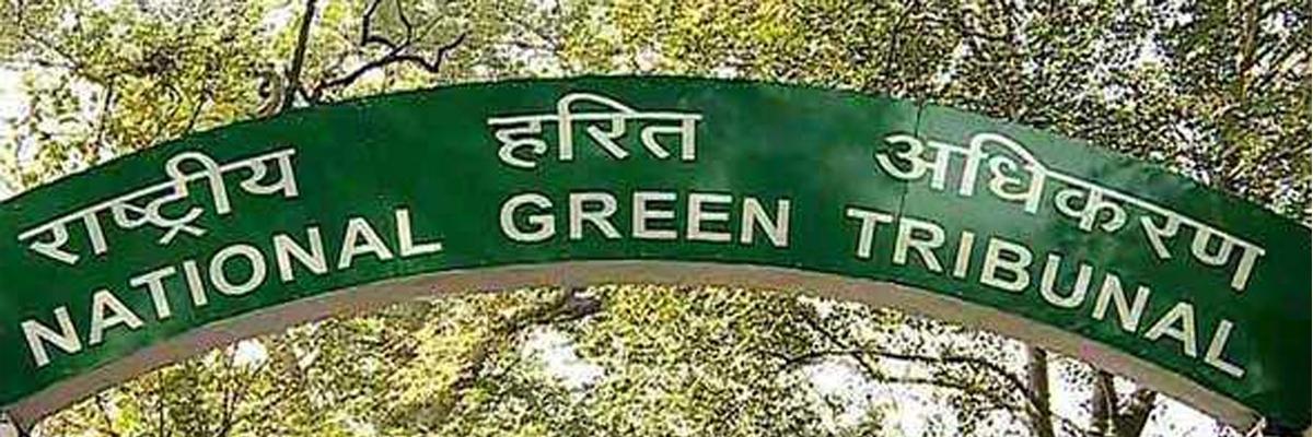 Social functions under NGT’s lens