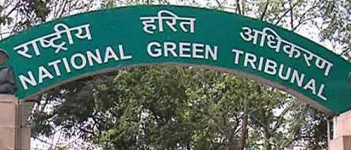 Pollution in Pali river: NGT summons district collector