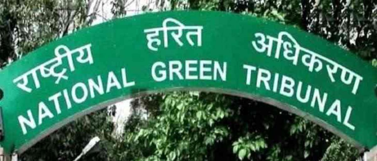 National Green Tribunal okays Purana Qila lake revival