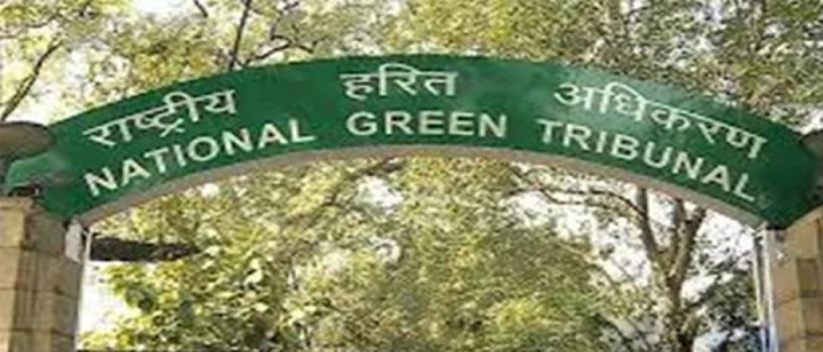 NGT asks petitioner to approach monitoring committee