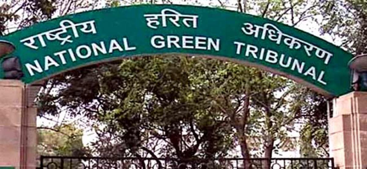 Pragati Maidan Redevelopment: No tree felling without nod, Delhi govt tells NGT