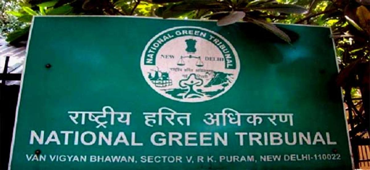 NGT asks Ministry of Environment and Forests: What steps have you taken against illegal industries in Jasodharpur?