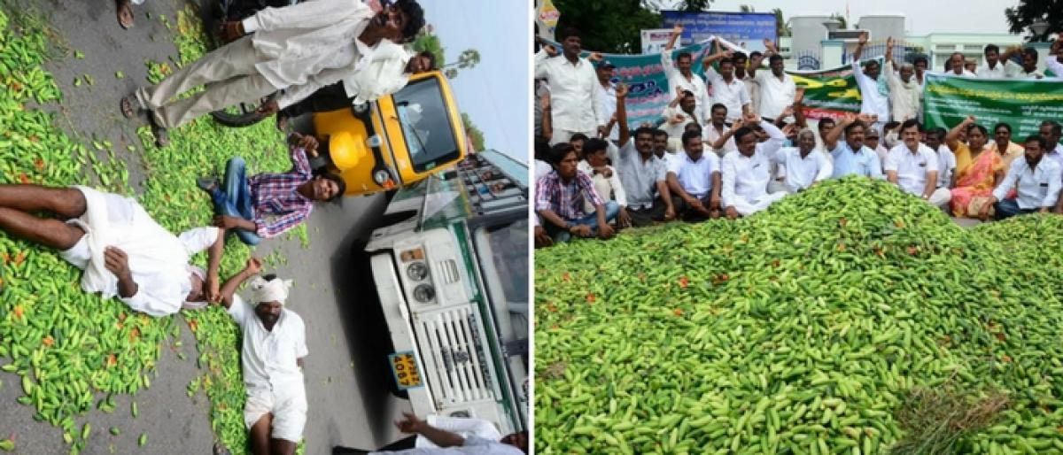 Nalgonda Ivy gourd farmers seek MSP