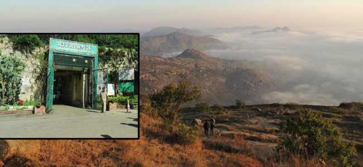 No entry for single persons to Nandi Hills