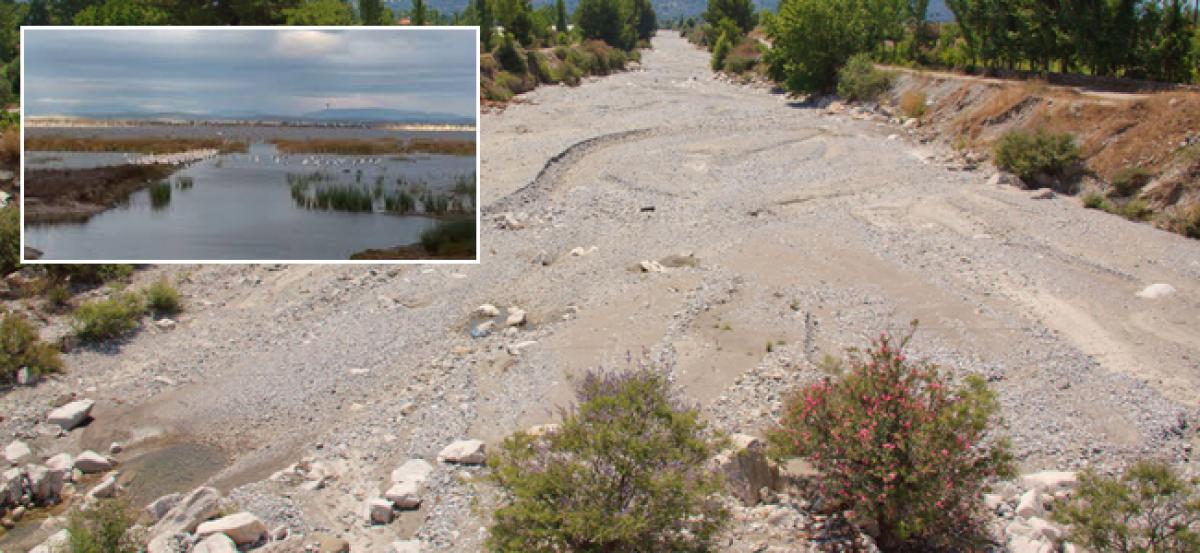 Dry Riverbeds emitting more levels of Carbon, says Nathan Waltham