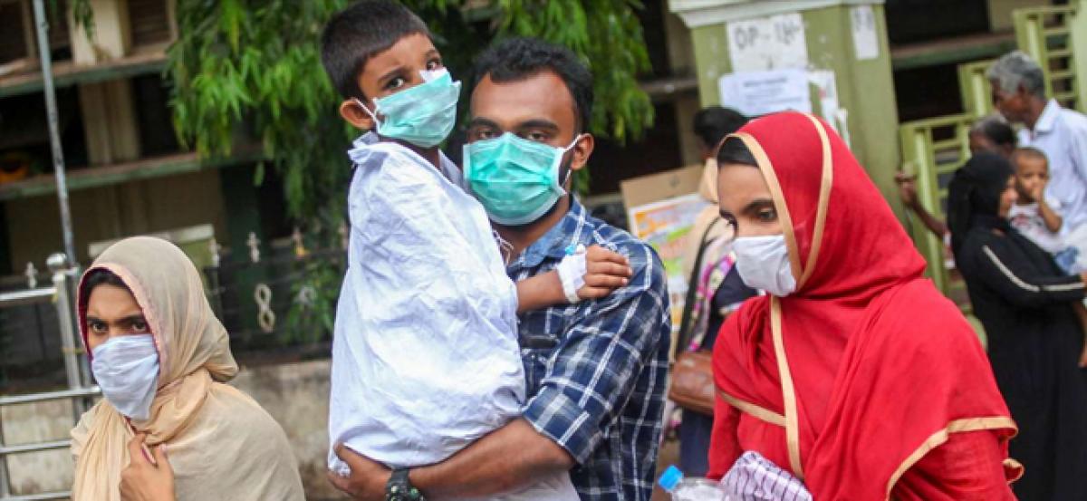 Nipah outbreak: After negative reports on fruit bats, health officials carry out fresh tests on goats and pigs