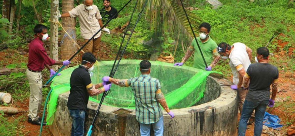 Bats not the primary source of Nipah virus