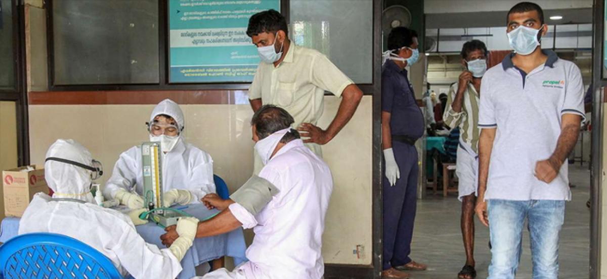 Nipah virus: Bats not responsible for outbreak that killed 12 in Kerala, says Health Ministry report