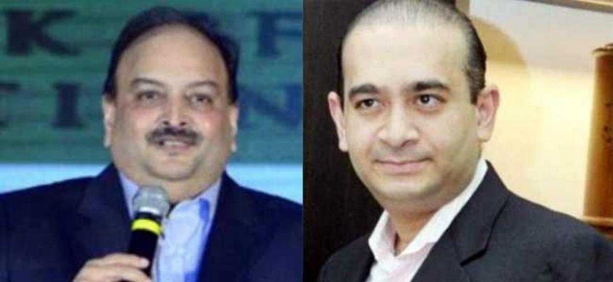 Diamond traders reveal why they stopped deals with Nirav Modi, Choksi