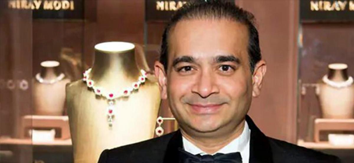 Nehal, Nirav Modi’s brother fled with 50kg gold jewelry