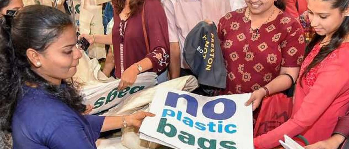 MNCs want Maharashtra to soften plastic ban