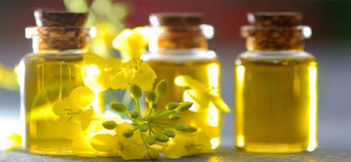 Could canola oil be ticket to your good health?