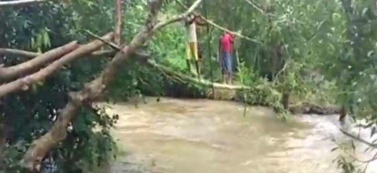 Odisha: Bamboo pole turns into makeshift bridge for locals