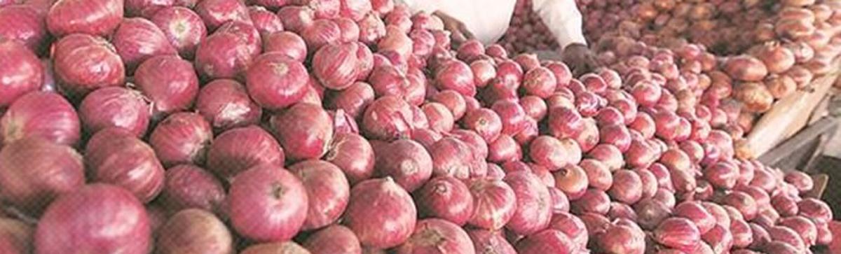 Falling prices leave onion farmers in tears