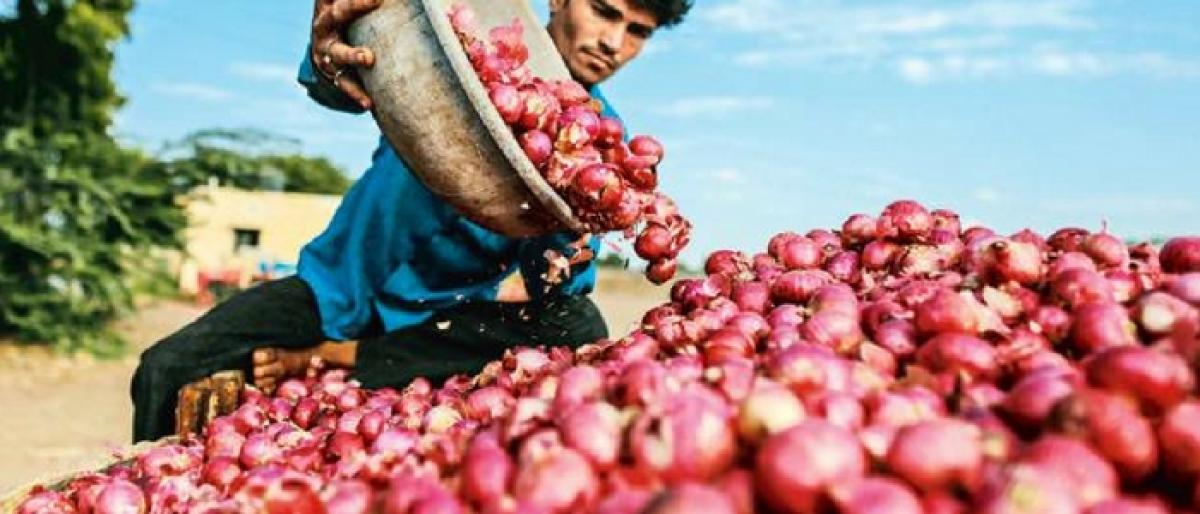 Onions turn pungent for consumers