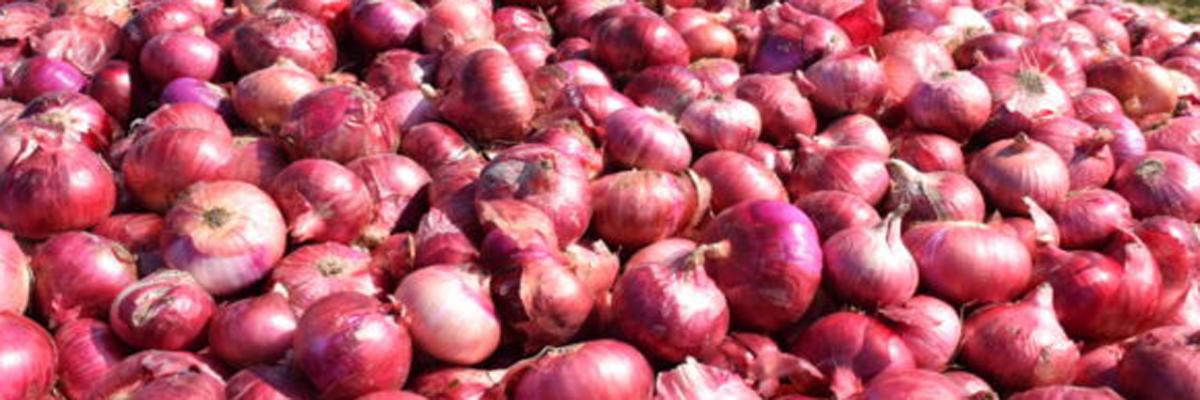Why onion prices are bringing tears to farmers eyes