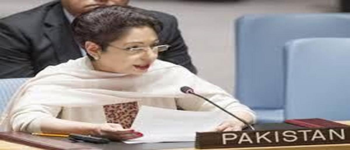 Pak raises Kashmir issue with UNSC chief In  United Nations