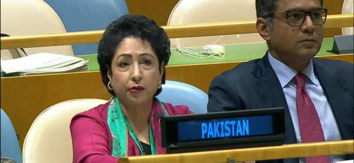 Pakistan criticses India, G4 nations on UNSC reform