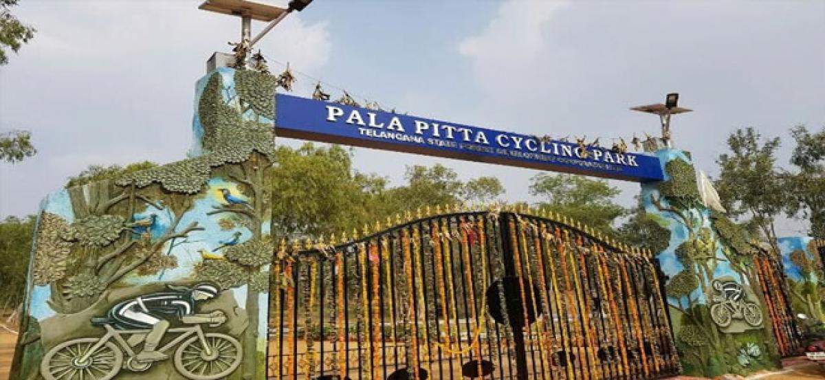 All roads lead to Pala Pitta Cycling Park