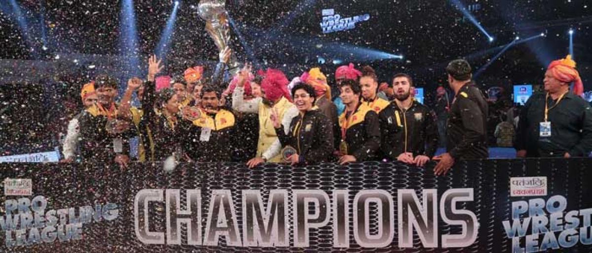 Punjab Royals retain PWL title