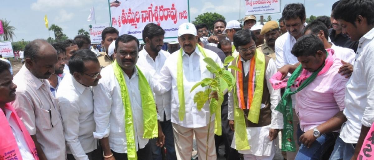 Haritha Haram, the best plantation programme in country: Tummala