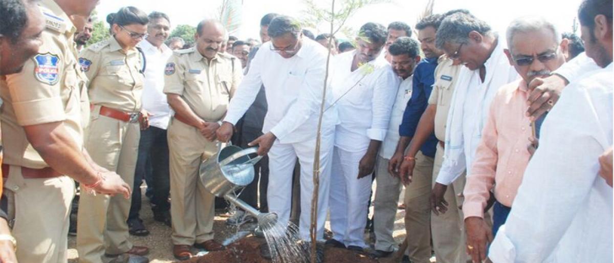Peddapally MLA calls for active participation of people in plantation drive