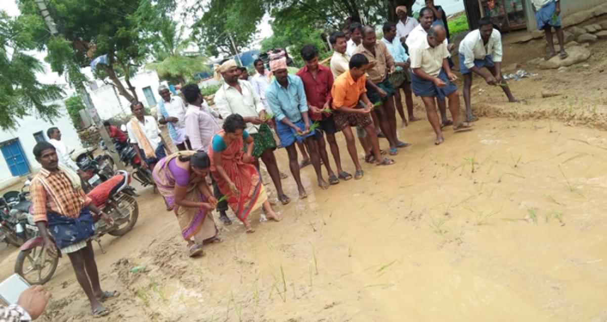 Residents protest over muddy road plant saplings