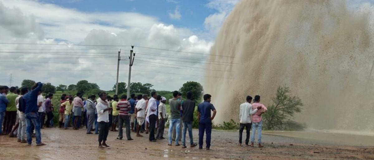 Pipeline damage leads to severe crop loss at Nagarguda