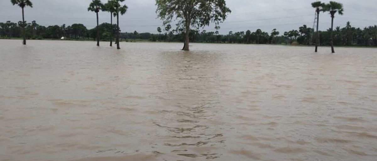 Rain water floods Pithapuram