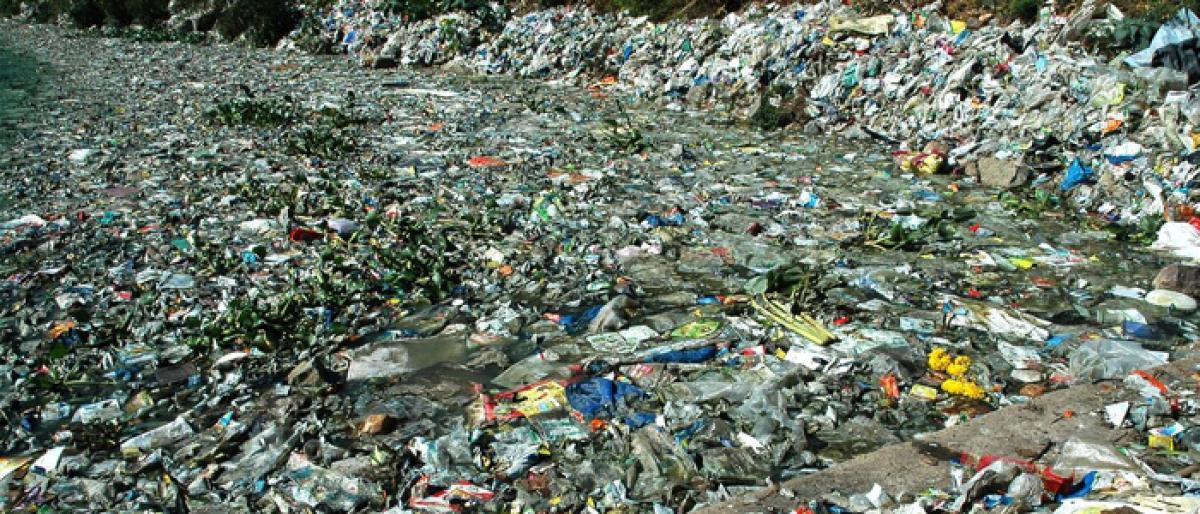 Say NO to litter that kills; bid adieu to plastic