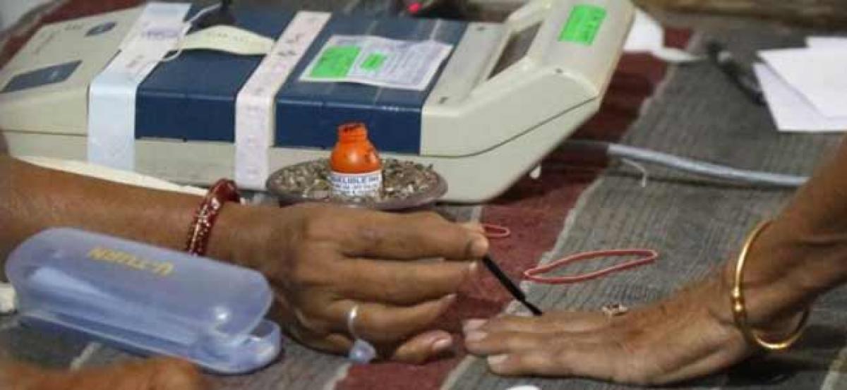 J&K: BJP sweeps municipal polls in 4 districts of south Kashmir