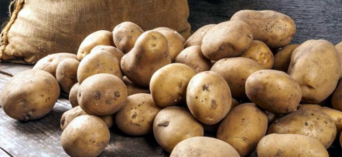 UP potato farmers faces sharp drop in sale due to fuel price hike