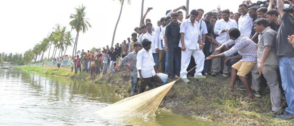 No Loan Waiver for eligible, Farmers complain to Jagan